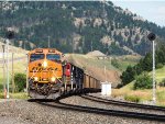 BNSF 3904